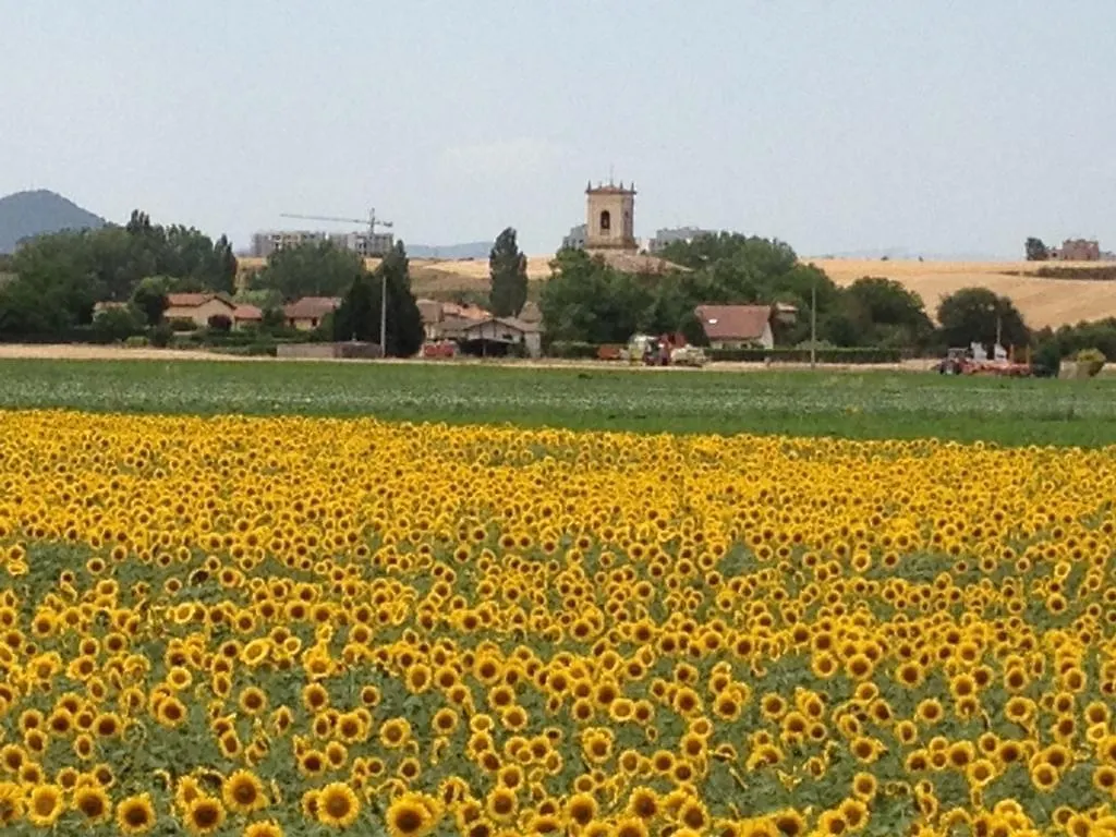 Agroturismo Arkaia Villa Vitoria-Gasteiz 0*,  Spain